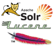 Apache Solr Kurulumu